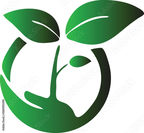 A green leaf icon and eco symbol design featuring a natural organic plant element as a vector illustration for a growth ecology logo representing spring life and a sustainable environment concept
