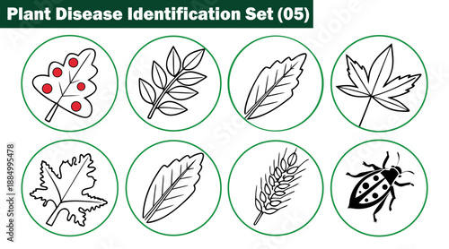 Outlined leaves and insects for plant disease identification vector, Vector Illustration icon set.