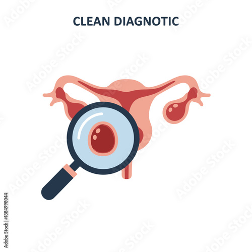 Female reproductive system anatomy with magnifying glass, clean diagnostic concept