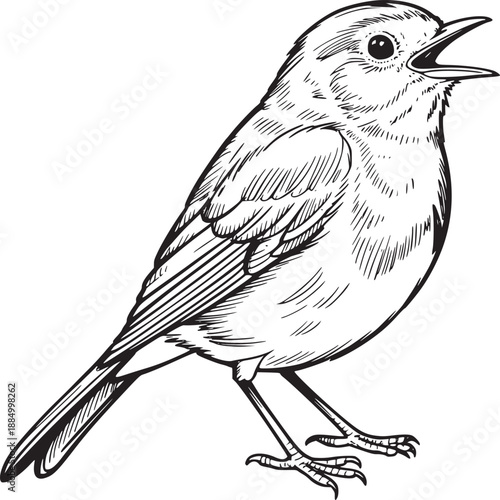 A detailed black and white sketch of a small bird with its beak open on a white background image