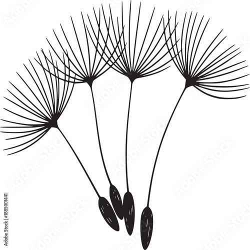 A minimalist black and white illustration of four dandelion seeds with detailed feathery structures