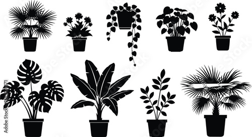 Black silhouette collection of indoor potted house plants and tropical garden flowers in pots set isolated on white background for interior design vector