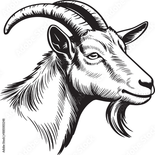 A detailed black and white illustration of a goat head with curved horns and a long beard design