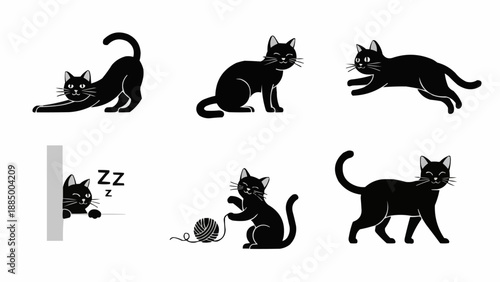 Set of six black cat illustrations showing different poses and activities.