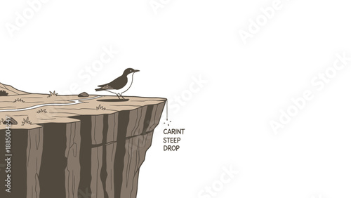 Bird on cliff edge, facing steep drop, white background, concept of risk and decision