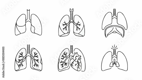 Set of simplified line art illustrations of human lungs.