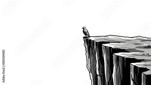 Bird on Cliff Edge - Solitude and Perspective