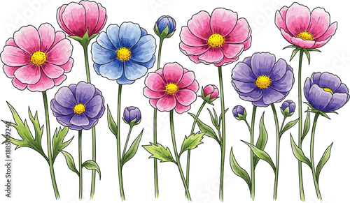 Colorful flowers with green stems and leaves on white background pink purple blue