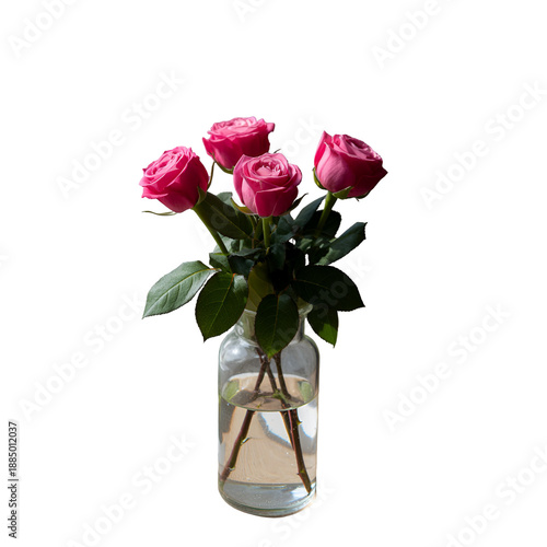 elegant pink rose blooming in glass vase with green leaves in serene setting