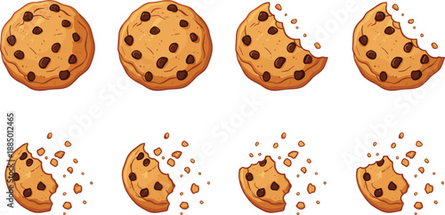 Set of delicious chocolate chip cookies with bite marks and crunchy crumbs, sweet baked biscuits collection for bakery menu and dessert design.