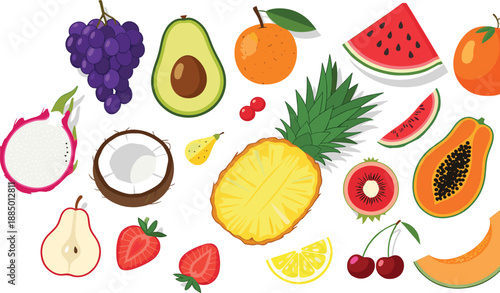 Colorful Tropical Fruit Collection Vector Illustration with Pineapple, Papaya, Watermelon, Avocado, Berries, and Citrus