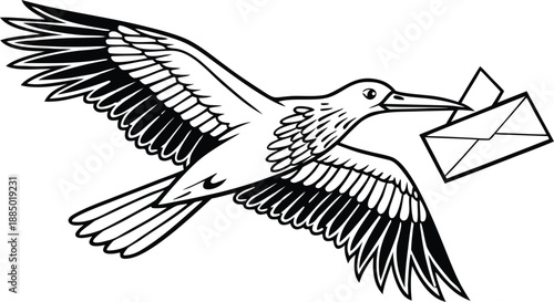 Adobe Illustrator Artwork