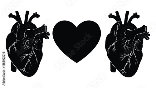 Two anatomical hearts flank a central solid black silhouette heart shape