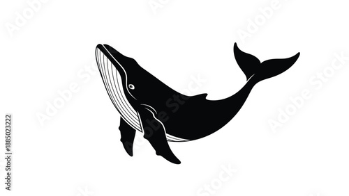 Black and white illustration of a majestic humpback whale breaching high above water