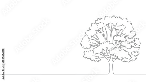Simple black and white line art drawing of a lush deciduous tree