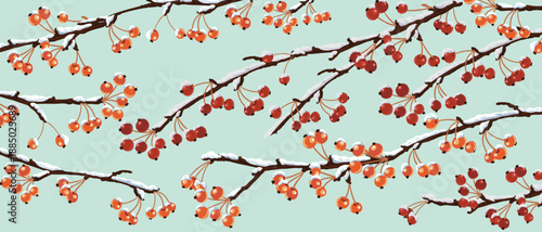 vector drawing apple tree branches with red fruits and snow in winter, natural background, hand drawn illustration