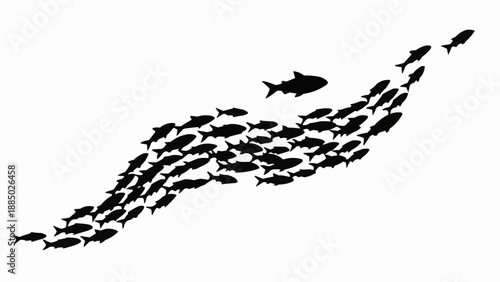 Silhouette of a large school of fish swimming in unison.