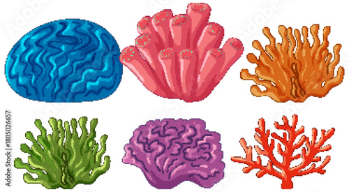 Collection of Colorful Underwater Coral Reef and Sea Anemone Vector Illustrations