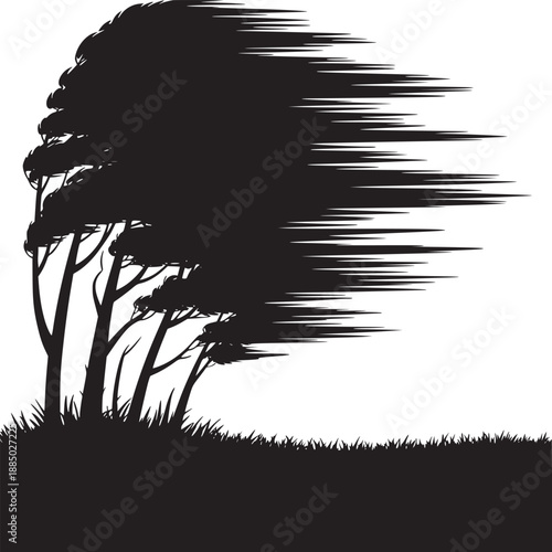Silhouette of trees bending in heavy wind on a white background with grass in the foreground