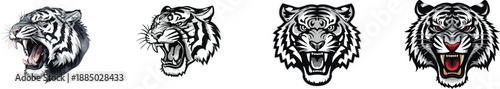Watercolor Set Black and White Tiger Roaring Head Mascot Graphic Vector Illustration. Isolated on white background