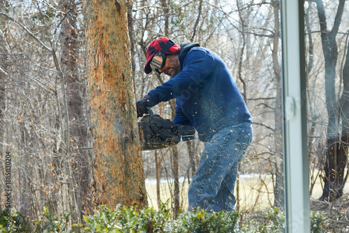 Картината върху платно Man in safety gear using a chainsaw to cut down a tree in my yard with woodchips