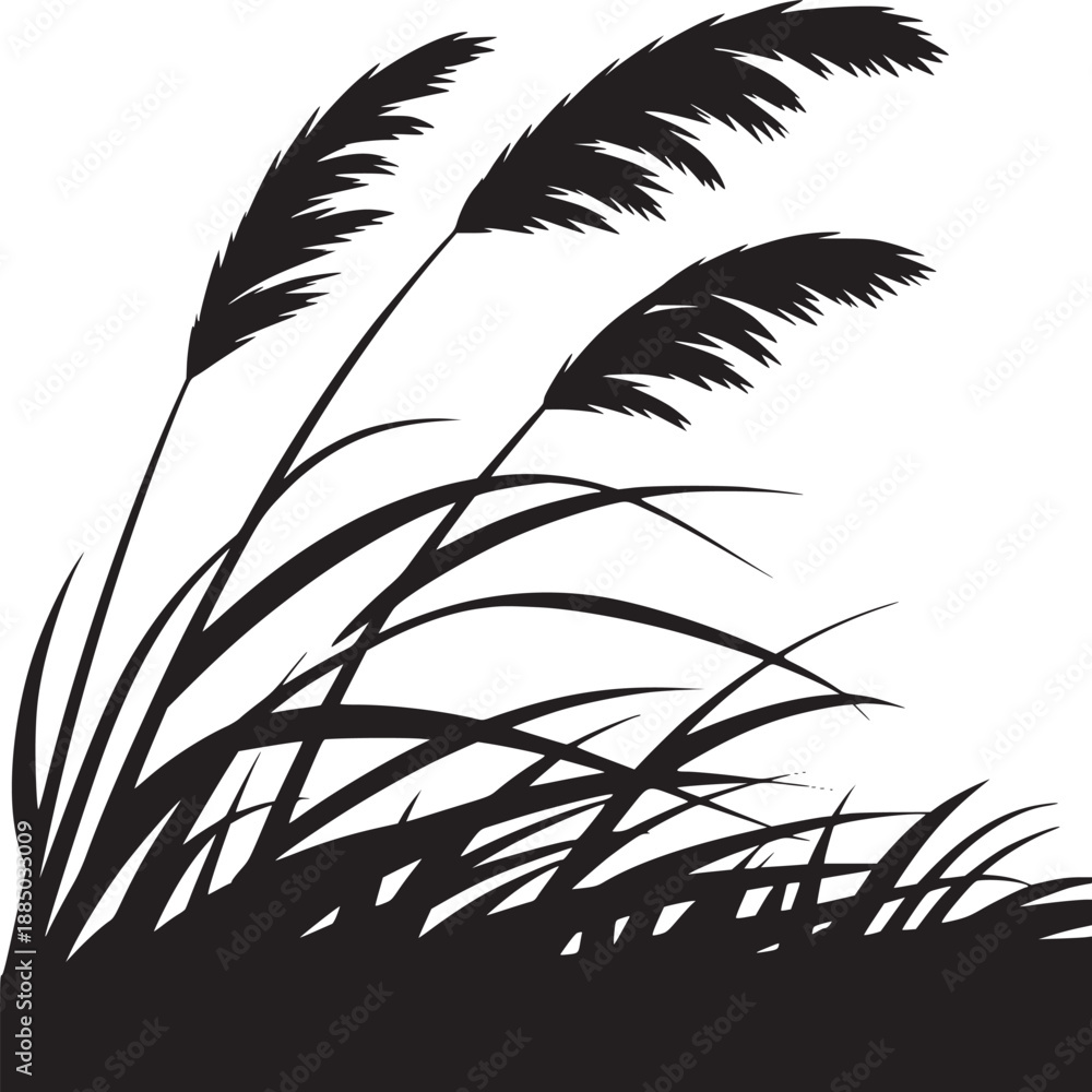 Fototapeta premium Silhouette of grass plants with feathery plumes against a stark white background in a minimalist style
