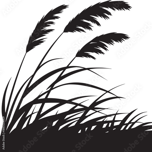 Silhouette of grass plants with feathery plumes against a stark white background in a minimalist style