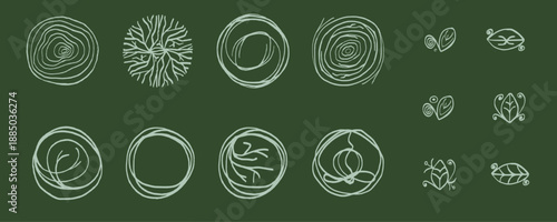 Hand drawn abstract circular doodles in soft green tones. Organic and nature inspired line art shapes, sustainable branding, natural products, wellness, botanical design and packaging