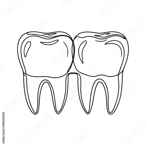 Illustration of a line drawing of two teeth side by side in a simple style