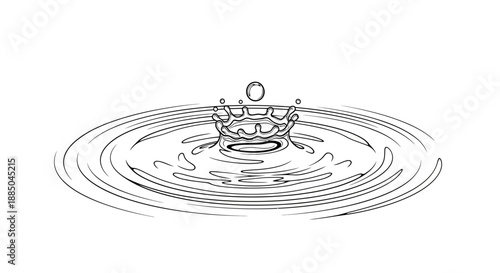 A crown splashing into the water creating ripples.