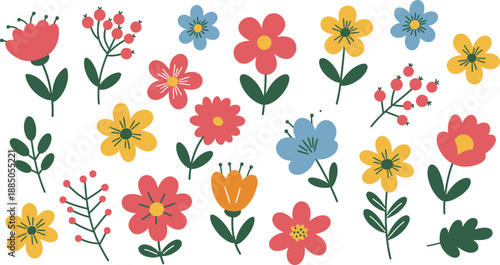 Colorful illustration of various flowers on white background