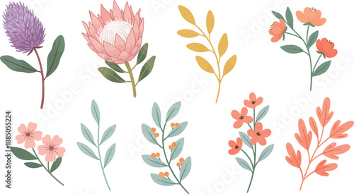 Watercolor illustration of various colorful flowers on white background