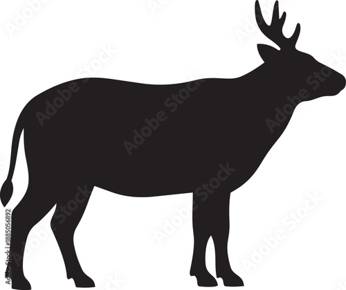 vector animal black color on white color background .