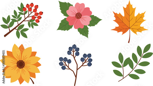 A variety of colorful fall flowers and leaves on white background