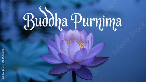 Buddha Purnima Purple Lotus Turquoise