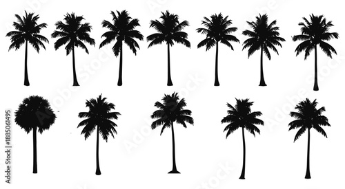 Silhouettes of tropical palm trees by the beach at sunset