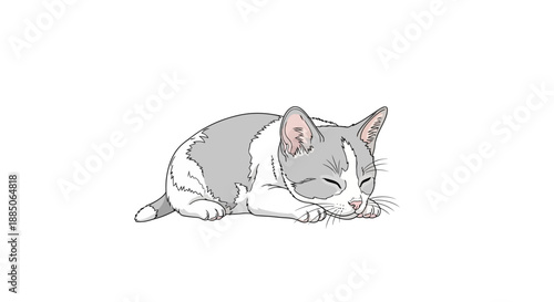 Gray and white cartoon kitten sleeping curled up, lying down with eyes closed vector illustration.
