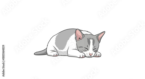 Grey and white cat character peacefully sleeping, curled up on the ground illustration.
