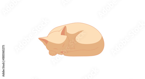 Orange cat character sleeping soundly, curled up in a tight ball illustration.