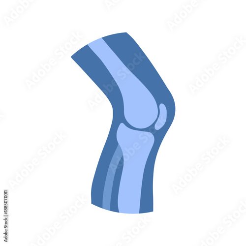 Human Skeleton & Bones Medical Infographic