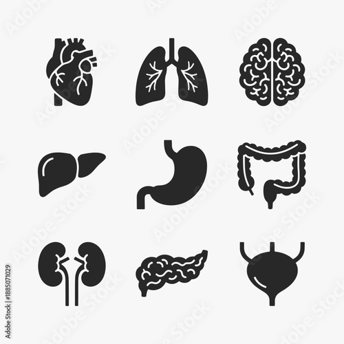 Set of flat design Human internal organs icons.