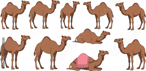 Camel Vector Set with Dromedary Characters Standing and Sitting in Various Poses Including One Decorated with a Pink Desert Saddle