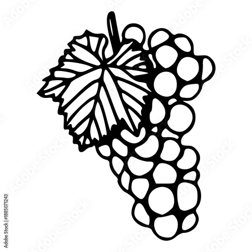 hand drawn stylized grape vector for organic food packaging