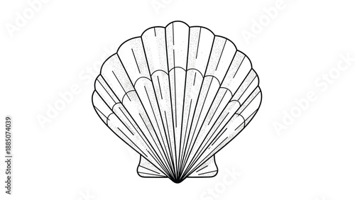 Detailed black and white line art illustration of a fan-shaped seashell showing natural ridges and texture on a plain background.