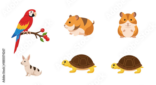 Colorful set of cartoon animals including parrot dog hamsters and turtles isolated on white background for various uses