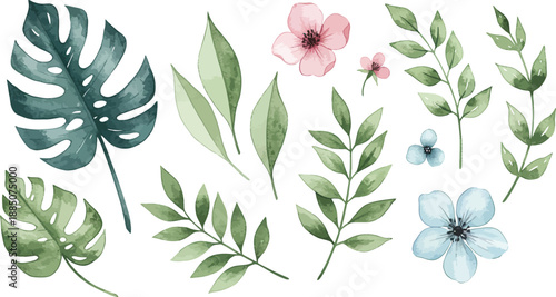 Watercolor illustration of various tropical leaves and flowers on white background