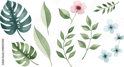 Watercolor illustration of various leaves and flowers on a white background