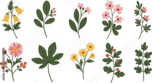 Collection of various colorful flowers and leaves on white background
