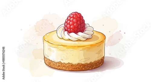 Delicious cheesecake with raspberry garnish on a clean white background viewed from the front