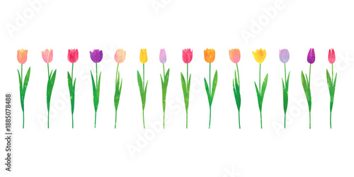 水彩絵の具、パステルで描かれたチューリップのベクターイラストセット